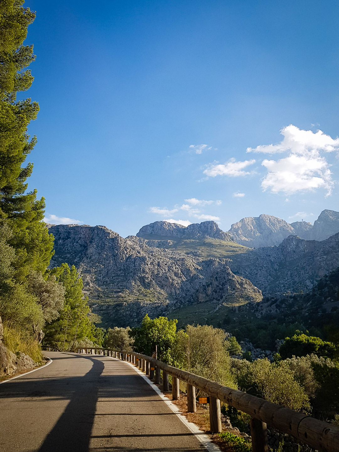 Sorry, dieses Bild ist noch nicht in voller Auflösung verfügbar!